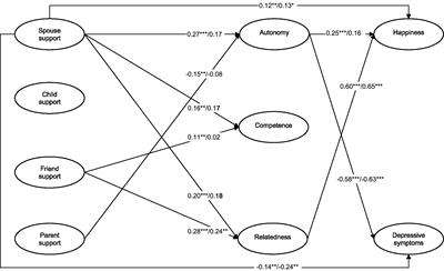 Social support and psychological well-being in younger and older adults: The mediating effects of basic psychological need satisfaction